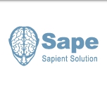 Sapient Solution
